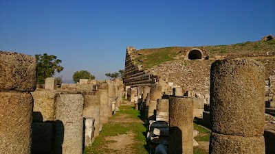 Alabanda Ruins