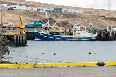 Photos of Icelandic Seal Center