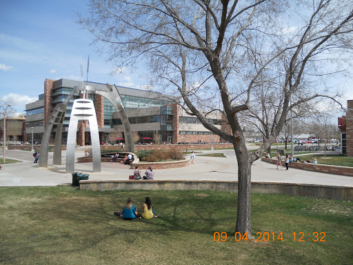 CSU Behavioral Sciences - Visual