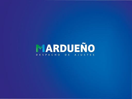 MARDUEÑO Asesoría Vehicular - Thumbnail