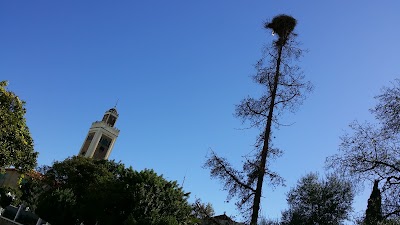 Photos of Mosqu&eacute;e Med 6