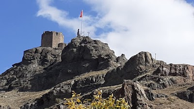 Şebinkarahisar Castle