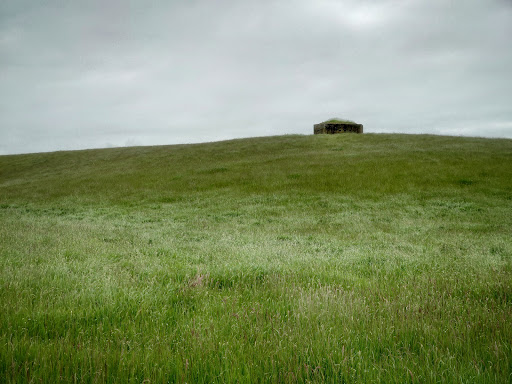 Driffield Beach - Visual
