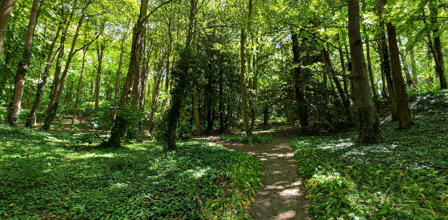 Reviews of Walsingham Abbey in Norwich - Museum
