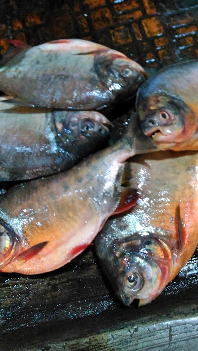 Photos of Khayla Fishery