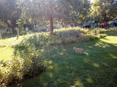 Photos of Ozgol Park