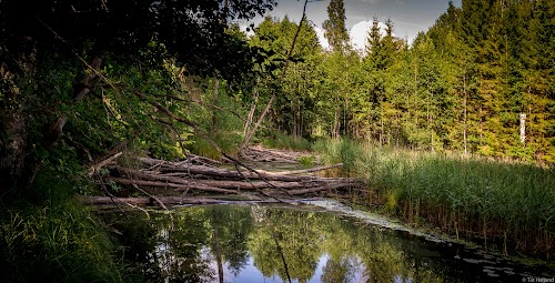 Koprarada - Beaver Trail