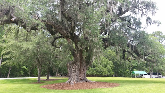 Drayton Hall