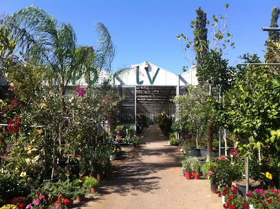 ΛΟΥΚΗΣ ΙΩΑΝΝΗΣ & ΣΙΑ Ε.Ε. "ΚΟΚΟΦΟΙΝΙΚΑΣ"