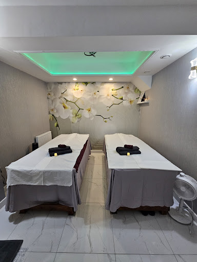 Healthland Massage & Spa London