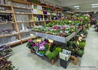 Photos of Cvjetni centar KALIA Podgorica