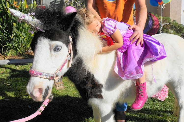 All God's Creatures Petting Zoo