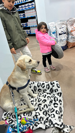 Vero Amico Pet Store - Thumbnail