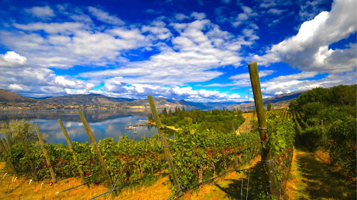 Top Cat Wine Tours and Charters