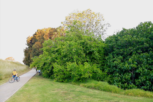 Foreshore Place Reserve