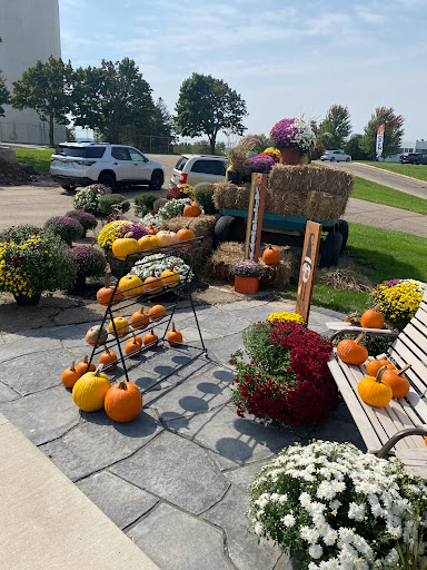 Cornerstone Nursery Gallery - United States