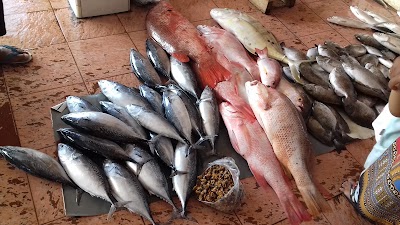 Photos of Lelang Ikan Tj. Limau