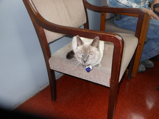 Forest Hill Veterinary Hospital - Thumbnail