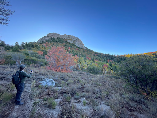 Houndstooth Trailhead - Visual