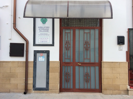 Ambulatorio Veterinario Cellamare - Thumbnail