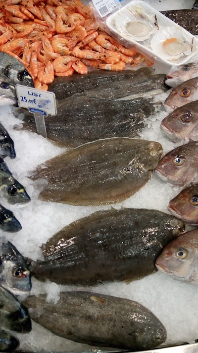 Photos of Montefish