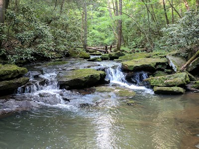 Photos of Flat Lick Falls Recreational Area