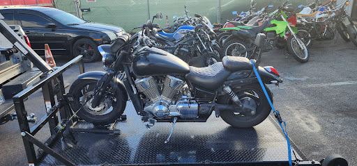 BCF Cycles - Visual