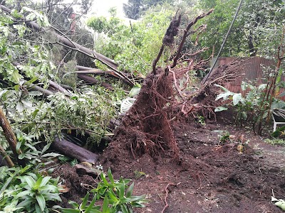 Photos of Escondido Park