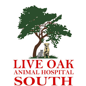 Photo of Live Oak Animal Hospital South Del propietario