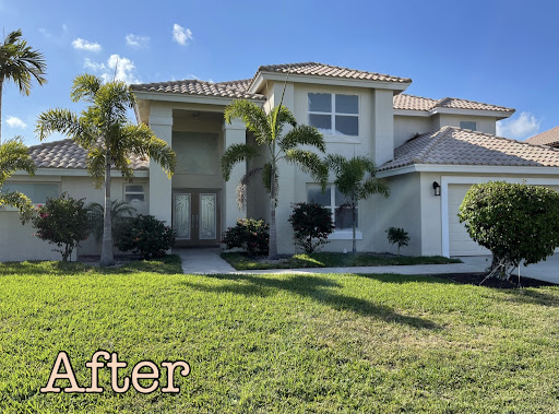 Junior Painter LLC - Visual