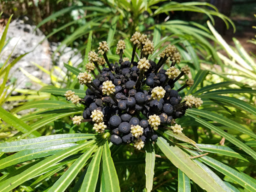 Beach Connections - Visual