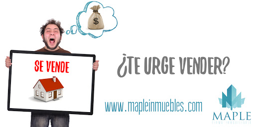 Firma Maple - Visual