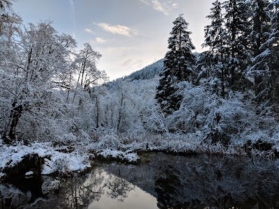 Wildwood Recreation Site