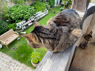 Photo n°12 de Le Relais des Artistes à Veules-les-Roses (Magasin)