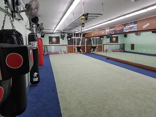 The New Kickboxing Club, Author: Clayton Micallef