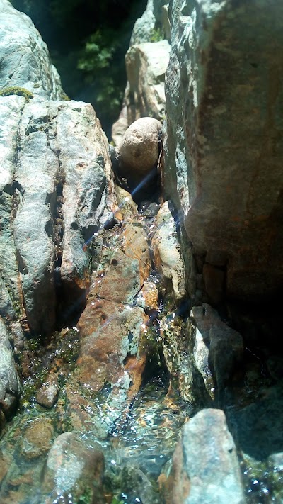 Photos of Hot spring Orosi