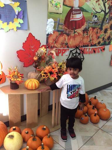 Star Preschool Cedarpark, Tx - Thumbnail