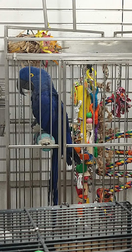 Ack's Exotic Pets