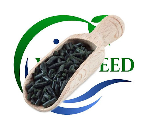 VitalFeed Inh. A.Schrul - Thumbnail