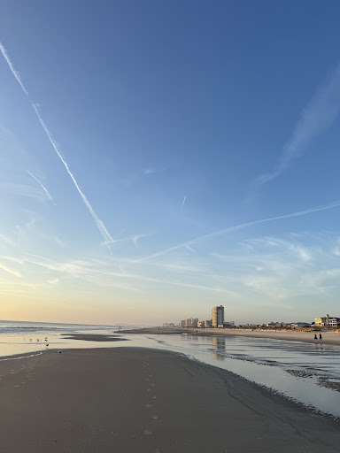 Jacksonville Fl Beach - United States