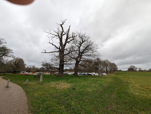 National Trust Car Park - The Children's Country House at Sudbury - Thumbnail