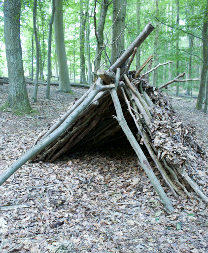 Old Hanging Wood