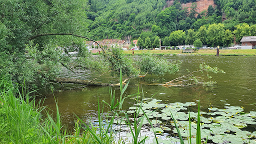 Mainufer Miltenberg