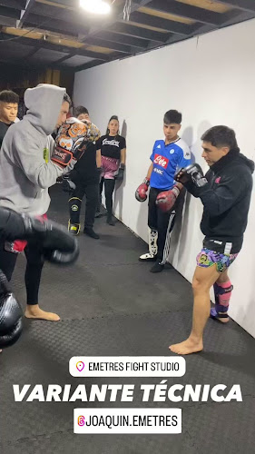 Opiniones de Emetres Fight Studio en Rancagua - Gimnasio