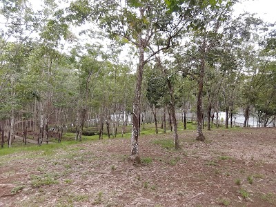 Photos of Danau Kubangkangkung