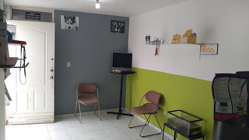 Veterinaria Dr. Salce