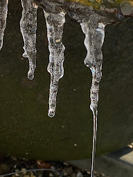 Photo n°13 de Le Domaine de Sirius à Séglien (Pension pour chiens)