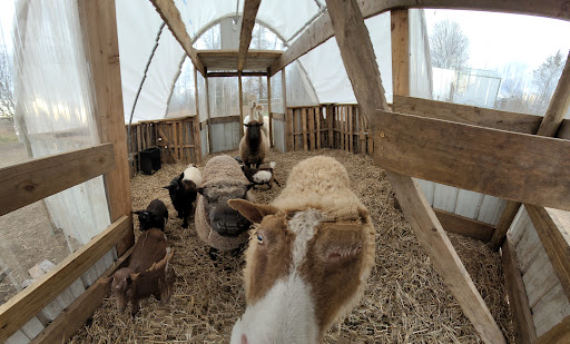 Happy Life Ranch - Thumbnail
