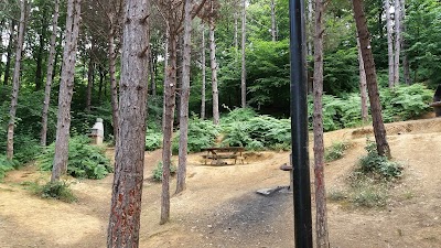 Photos of G&ouml;kt&uuml;rk Ponds Nature Park