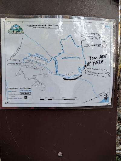 Pincushion Mountain Trail System